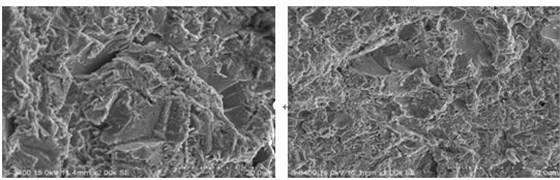圖11-141 A區(qū)微觀形貌 圖11-142 A區(qū)微觀形貌 圖11-141 A區(qū)微觀形貌 圖11-142 A區(qū)微觀形貌