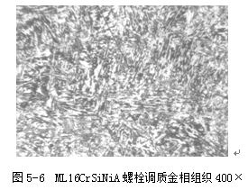 ML16CrSiNiA螺栓調(diào)質(zhì)金相組織400&times;