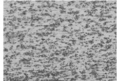 35鋼原材料球化退火態(tài)金相組織 400&times;
