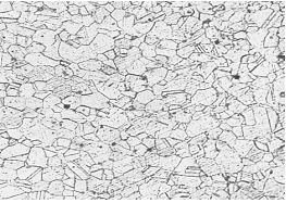 圖5-21 GH4169螺栓固溶時(shí)效金相組織 100&times;