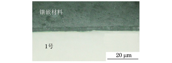 圖１ １號(hào)試樣表面氧化層形貌