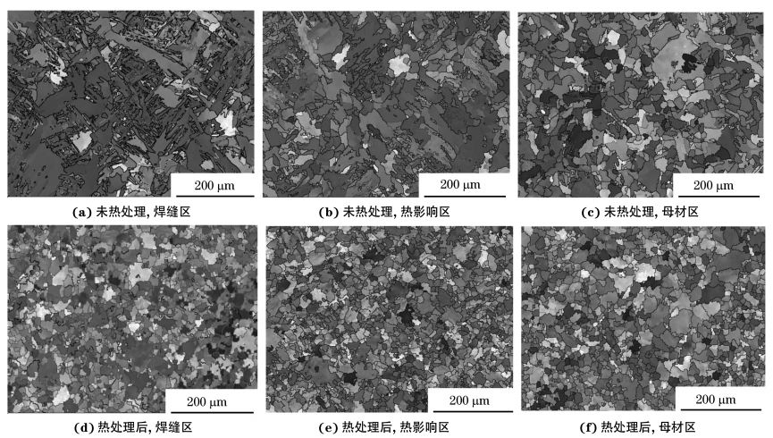 圖２ 熱處理前后焊接接頭焊縫區(qū)、熱影響區(qū)和母材區(qū)的取向成像圖