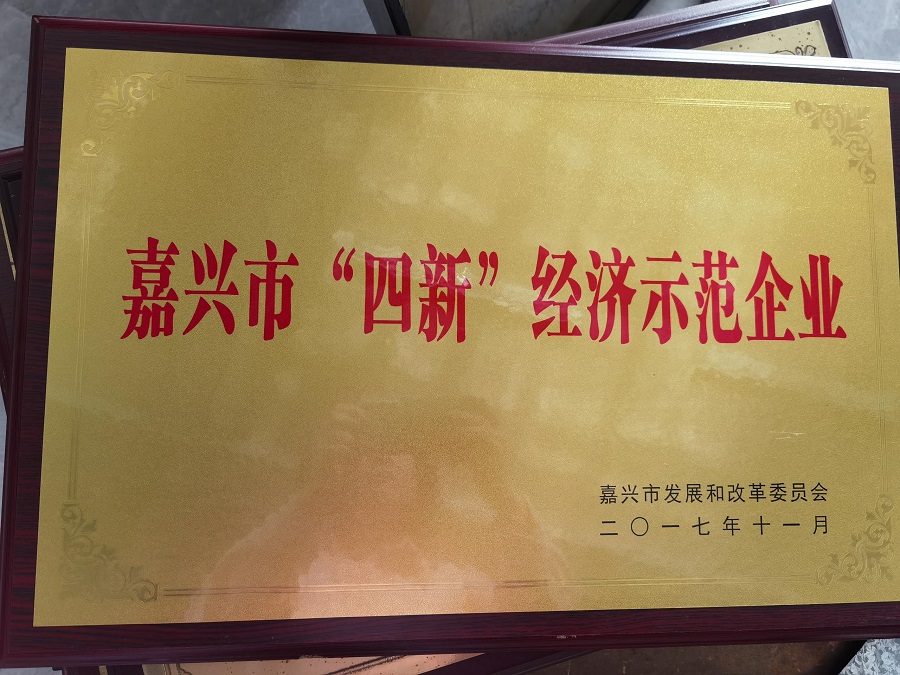 3 嘉興市&ldquo;四新&rdquo;經(jīng)濟示范企業(yè)