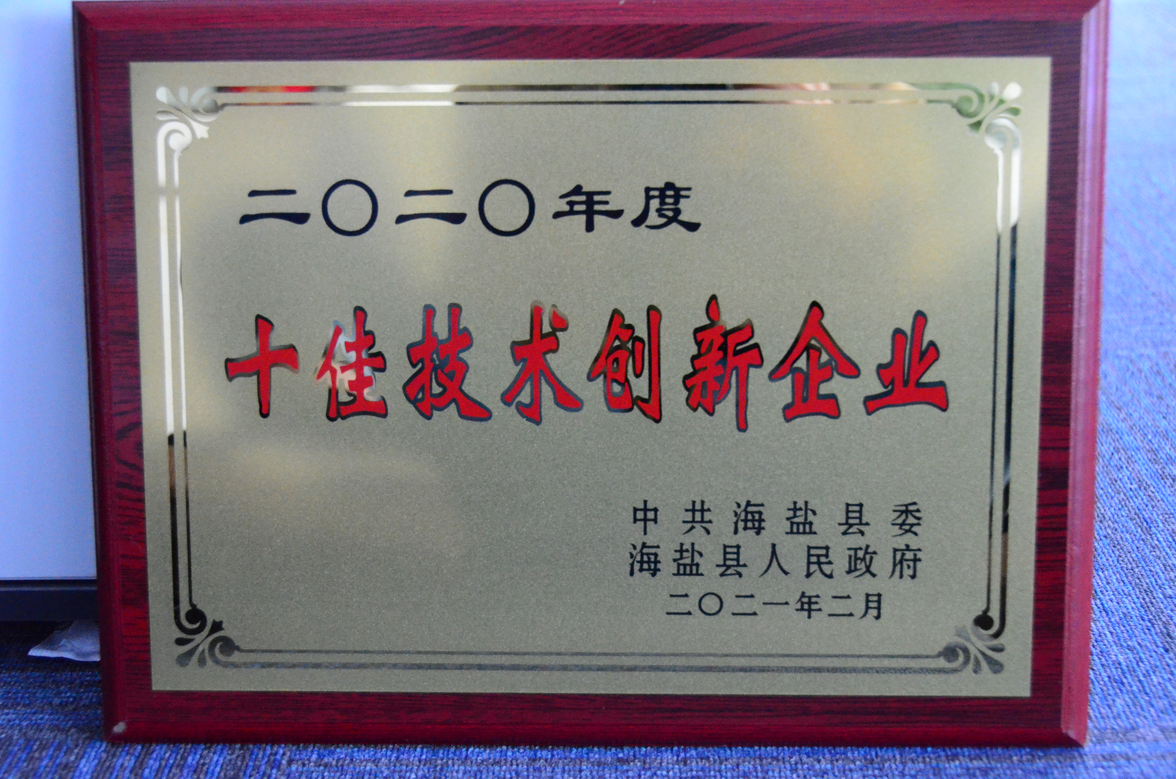 縣級十佳技術創(chuàng)新企業(yè) 縣級十佳技術創(chuàng)新企業(yè)